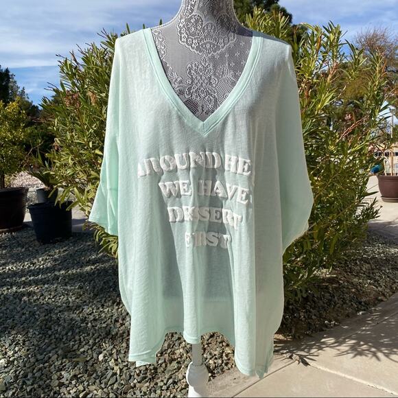 WILDFOX Womens Dessert First Oversized V-Neck Printed Aqua Tee Size XS - Picture 6 of 11